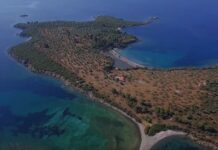 Χαλκιδική: Αυτά είναι τα άγνωστα καταπράσινα νησάκια που πωλούνται έως και 10.000.000 ευρώ – video