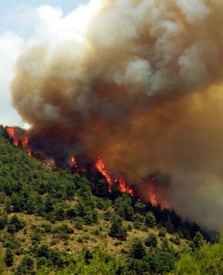 Φωτιά τώρα στον Κιθαιρώνα στην Πάρνηθα