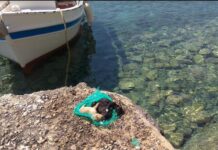 Σοκαριστική κτηνωδία στην Σύρο: Έκλεισαν τρία κουτάβια σε πλαστική σακούλα και τα πέταξαν στη θάλασσα (ΣΚΛΗΡΕΣ ΕΙΚΟΝΕΣ)