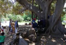 Χανιά: Παιδάκι παγιδεύτηκε σε δέντρο – Σφήνωσε το πόδι του.