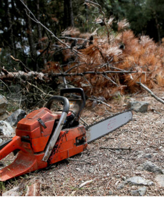 Τραγωδία στην Πέλλα: Τον «σκότωσε» το δέντρο
