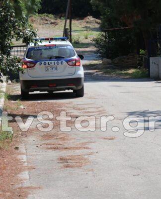 Λαμία: Ταύρος βγήκε στους δρόμους της πόλης.