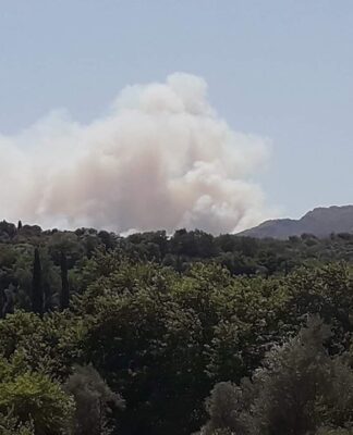 Μεγάλη φωτιά στην Εύβοια – Συναγερμός στην Πυροσβεστική.
