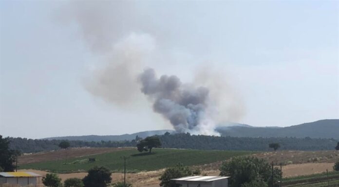 Φουντώνει η φωτιά στην Εύβοια – Απομακρύνθηκαν οι κάτοικοι από το Μακρυχώρι.