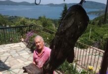 Καρδίτσα: Ανάμεσα στα κλαδιά του βυθού ένας γουλιανός 70 κιλών – Βγήκε με "τρόπαιο" από τη λίμνη Πλαστήρα