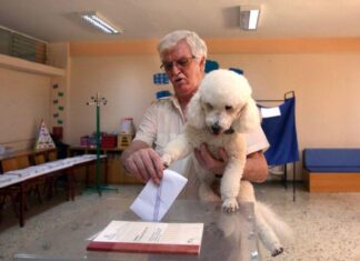 Τα τρελά των εκλογών 2019: Στις κάλπες με σαγιονάρα, μαγιό, κατοικίδια και… άλογα