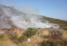 Φωτιά τώρα στο Λυγουριό Αργολίδας