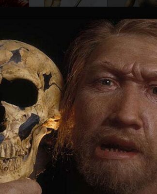 Στην Ελλάδα το αρχαιότερο δείγμα "Homo Sapiens" σε Ευρώπη – Ασία.