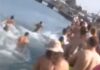 Χαλκίδα: Βαρβαρότητα σε παραλία που προκαλεί οργή – Σκότωσαν ξιφία που βγήκε στα ρηχά – video