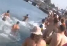 Χαλκίδα: Βαρβαρότητα σε παραλία που προκαλεί οργή – Σκότωσαν ξιφία που βγήκε στα ρηχά – video