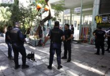 Εξάρχεια: Αποχή ρεκόρ στο εκλογικό τμήμα που έκλεψαν την κάλπη. Video