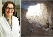 Suzanne Eaton: "Η βιολόγος δέχτηκε άγρια επίθεση" – Νέο Στοιχείο φωτιά.