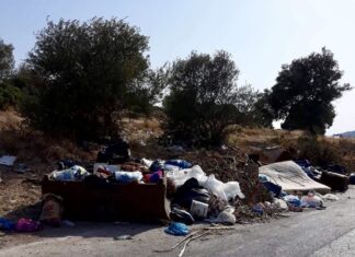 ΣΑΛΑΜΙΝΑ: Νέα υγειονομική βόμβα στα Βασιλικά – ΕΙΚΟΝΕΣ που σοκάρουν!