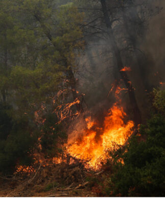 Υψηλός ο κίνδυνος για φωτιά και αύριο