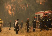 Πολύ υψηλός ο κίνδυνος για φωτιά την Παρασκευή – Στο «κόκκινο» η μισή Ελλάδα