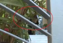 Μποτρίνι: Οι πρώτες εικόνες στο εστιατόριό του μετά το "ντου" του Ρουβίκωνα.