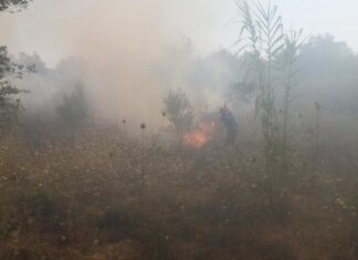 Φωτιά τώρα στον Διόνυσο Αττικής