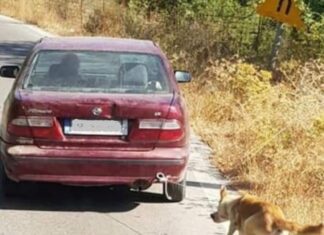 Ρέθυμνο: Συνελήφθη ο οδηγός που είχε δέσει στο αυτοκίνητό του ένα σκυλί