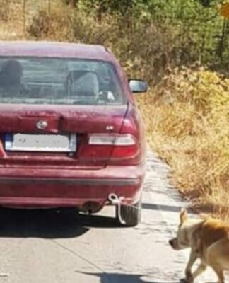 Ρέθυμνο: Συνελήφθη ο οδηγός που είχε δέσει στο αυτοκίνητό του ένα σκυλί