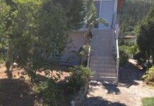 Μεσσηνία: Αυτοκτόνησε όταν πίστεψε πως σκότωσε τη γυναίκα του – Νέα στοιχεία για την τραγωδία στην Κυπαρισσία.