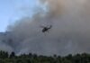 Ανεξέλεγκτη η φωτιά στην Εύβοια: Καίγεται το δάσος Natura – Ενισχύονται οι δυνάμεις της πυροσβεστικής