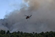 Ανεξέλεγκτη η φωτιά στην Εύβοια: Καίγεται το δάσος Natura – Ενισχύονται οι δυνάμεις της πυροσβεστικής