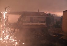Συγκλονιστικές εικόνες από τη φωτιά στην Εύβοια: Στις αυλές των σπιτιών οι φλόγες