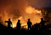 Εύβοια: Ολονύκτια μάχη με τις φλόγες που φτάνουν και τα 20 μέτρα.