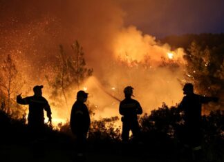 Εύβοια: Ολονύκτια μάχη με τις φλόγες που φτάνουν και τα 20 μέτρα.