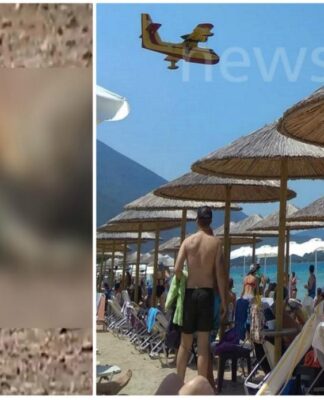 Εύβοια: Εικόνες σοκ στα καμένα. Νεκρά ζώα και μαύρο παντού
