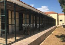 Γλυκά Νερά: Ο αδελφός της μητέρας του άτυχου βρέφους ζητάει πίσω το ροτβάιλερ