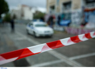 Φθιώτιδα: Τα δίδυμα αδέρφια τον σκότωσαν στο ξύλο – Νέα στοιχεία για τη στυγερή δολοφονία.