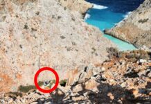 Χανιά: Πτώση αυτοκινήτου σε γκρεμό – Σοκαριστικές εικόνες.