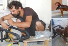 O Έλληνας υδραυλικός που κάνει ανάπηρα σκυλάκια να περπατήσουν ξανά
