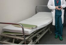 Πέλλα: «Ξαφνικά είδαμε το σκυλί να επιτίθεται στο παιδί»