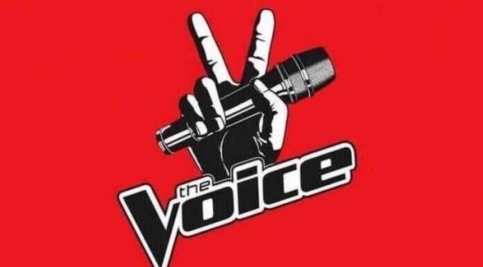The Voice: Αυτός είναι ο αντικαταστάτης του Μαραβέγια στην κριτική επιτροπή!
