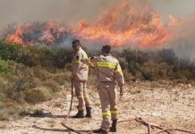 Ζάκυνθος: Η φωτιά κατευθύνεται και απειλεί το χωριό Κερί – Μάχη με το χρόνο από τους Πυροσβέστες – video