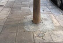 Θεσσαλονίκη: Απίστευτο και όμως ελληνικό – Η εξήγηση πίσω από την εικόνα που έγινε viral
