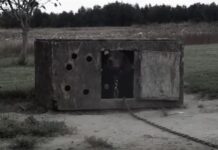 Αυτό το σκυλάκι ήταν κλειδωμένο και κακοποιημένο – Δείτε την αντίδρασή του μόλις τον αγκαλιάζουν για πρώτη φορά (ΒΙΝΤΕΟ)