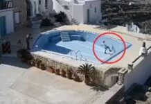 Μαθητές Δημοτικού σκότωσαν τυφλή γάτα με κλωτσιές στην Φολέγανδρο (ΒΙΝΤΕΟ)