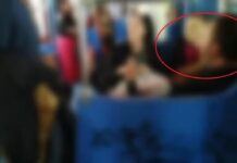 Ρατσιστική επίθεση – ντροπή σε μάνα με μωρό στο τρένο. video