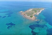 Ένας μικρός παράδεισος, μόλις 40 λεπτά από την Αθήνα (ΒΙΝΤΕΟ)