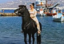Μύκονος: Τα εκπληκτικά άλογα εντυπωσίασαν τους πάντες – Μοναδικές εικόνες στο κέντρο του νησιού (ΒΙΝΤΕΟ)