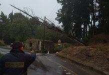 Καιρός: Πλημμύρες, πτώσεις δέντρων και δεμένα πλοία – Η Κέρκυρα αισθάνεται την κακοκαιρία