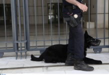 Ρόδος: Βγήκε από το πλοίο και τότε έζησε αυτό που φοβόταν – Οι στιγμές που θα θυμάται για πάντα.