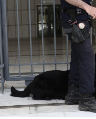 Ρόδος: Βγήκε από το πλοίο και τότε έζησε αυτό που φοβόταν – Οι στιγμές που θα θυμάται για πάντα.