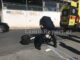 Λαμία: Τραυματίστηκε οδηγός μηχανής σε νέο τροχαίο – Το κράνος τον έσωσε από τα χειρότερα.