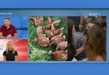 GNTM: Άγριο ξεκατίνιασμα – Η καταγγελία παίκτριας για bullying και η αποχώρηση των κριτών