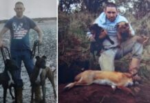 Φυλάκιση 10 μηνών στον άνδρα που αγόραζε γάτες για να τις σκοτώνουν τα σκυλιά του
