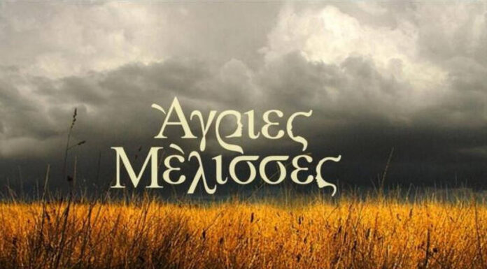 Άγριες Μέλισσες: Ποιος πεθαίνει στα επόμενα επεισόδια (ΦΩΤΟ & ΒΙΝΤΕΟ)